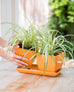 Double Duty Orange Planter