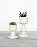 Perfect Pedestal Planter Large or Small