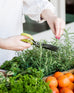 Herb Mincing Scissors