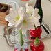 Waxed Amaryllis Bulb - Red Wax, White Bloom