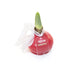 Waxed Amaryllis Bulb - Red Wax, White Bloom