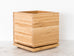 Premium Money Tree in Bamboo Planter