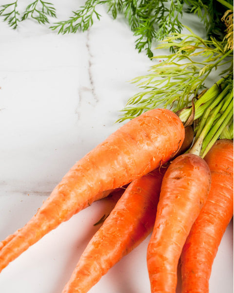 Carrot - Seed Strips - Set of 3