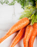 Carrot - Seed Strips - Set of 3