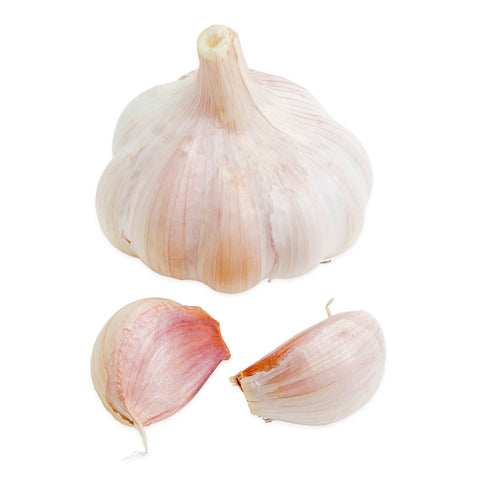 Garlic Bulbs for Planting - Music and Early California