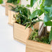 Tropical Garden in Bamboo Planter