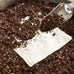Salad Bowl - Organic Seed Square
