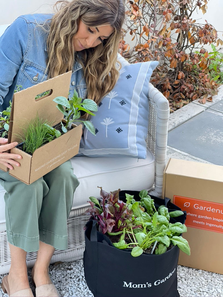 Mom's Garden Kit with Live Plants