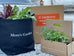 Mom's Garden Kit with Live Plants